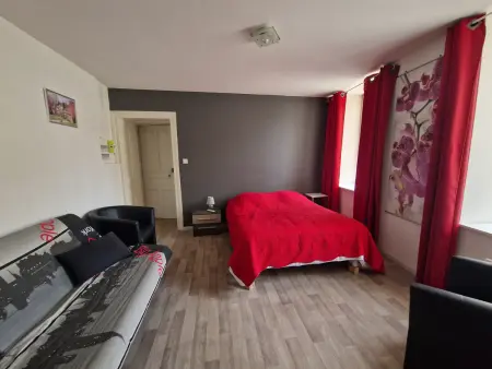 Appartement T2 centre-ville, animaux acceptés : photo 3