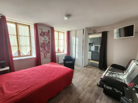 Appartement T2 centre-ville, animaux acceptés : photo 5