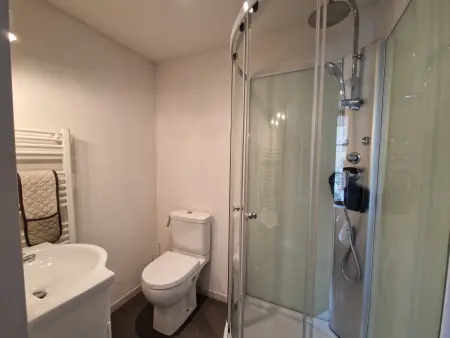 Appartement T2 centre-ville, animaux acceptés : photo 6