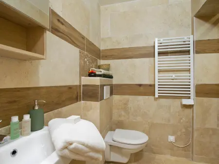Appartement 80 m² terrasse Sud-Ouest - Les Deux Alpes : photo 6