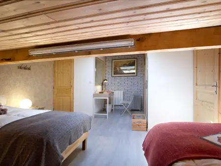 Duplex 8 pers. aux Deux Alpes, 400 m des pistes : photo 8