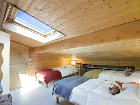 Duplex 8 pers. aux Deux Alpes, 400 m des pistes : photo 10