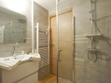 T2 cabine 48m² aux Deux Alpes, 100m des pistes : photo 7