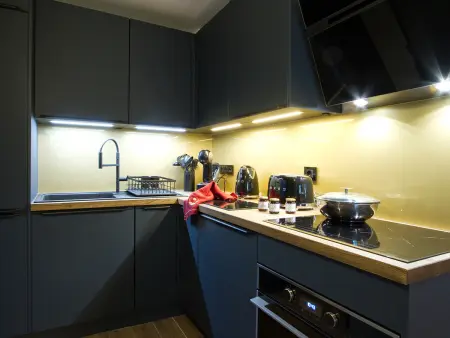 Appartement 50m² avec jardin privé – Les Deux Alpes : photo 4