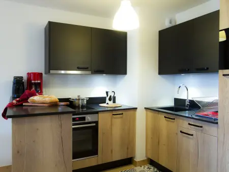 Appartement 60m² aux Deux Alpes, 50m des pistes : photo 3