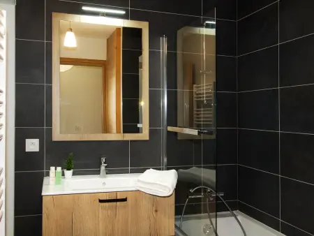 Appartement 60m² aux Deux Alpes, 50m des pistes : photo 6