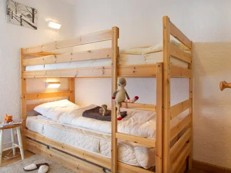 Appartement 36m² aux Deux Alpes, 100m des pistes : photo 5