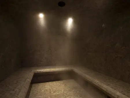 Appartement ski aux pieds à Huez avec piscine : photo 12