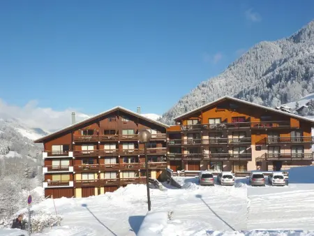 T2 24m² à 200m des remontées - Arêches-Beaufort : photo 7