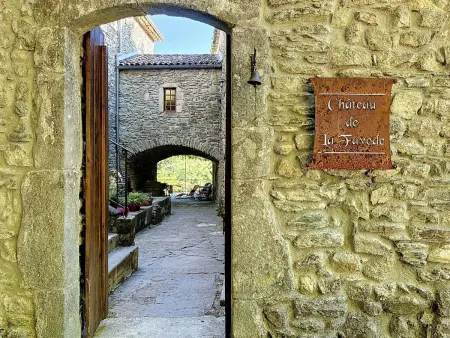 Gîte Château de la Favède, 3 pièces, piscine privée, Les Salles-du-Gardon : photo 34