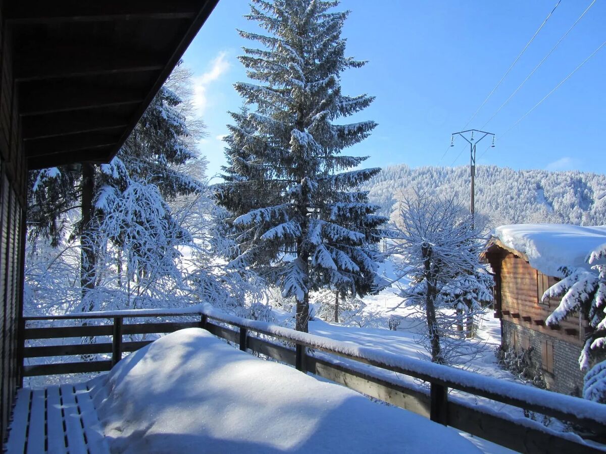 Chalet 8 pers. aux Rousses avec cheminée et terrasse - Photo 5