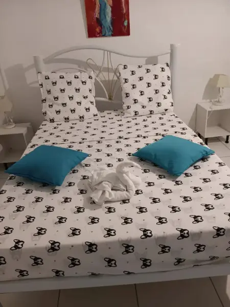 Appartement cosy 25 m² avec terrasse et jardin à La Trinité : photo 4