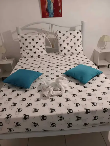 Appartement cosy 25 m² avec terrasse et jardin à La Trinité : photo 5