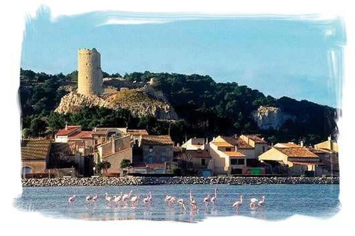 Maison 4 pers. à Gruissan, jardin clos et piscine - Photo 10