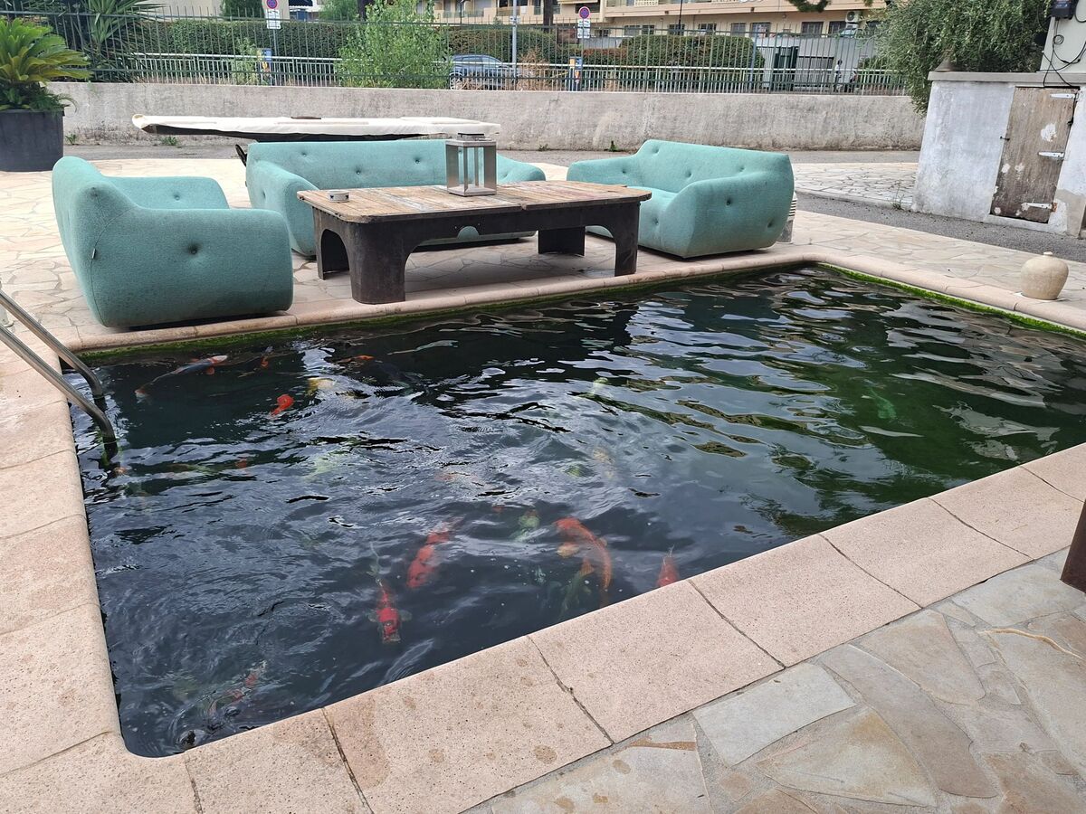 Maison 2 chambres avec spa privé à Cagnes-sur-Mer - Photo 10