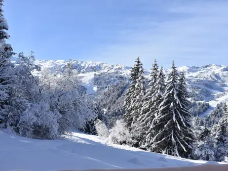 Appartement accueillant près des pistes - 6 pers. : photo 24