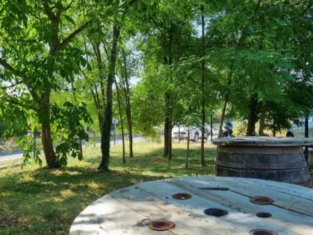 Gîte 11 pers. avec animaux, terrasse couverte à Saint-Paul-d'Uzore : photo 29
