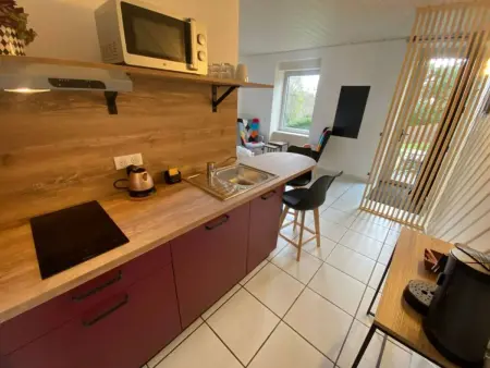 Maison 5 chambres à Orcines avec jardin et terrasse, 12 pers. : photo 12