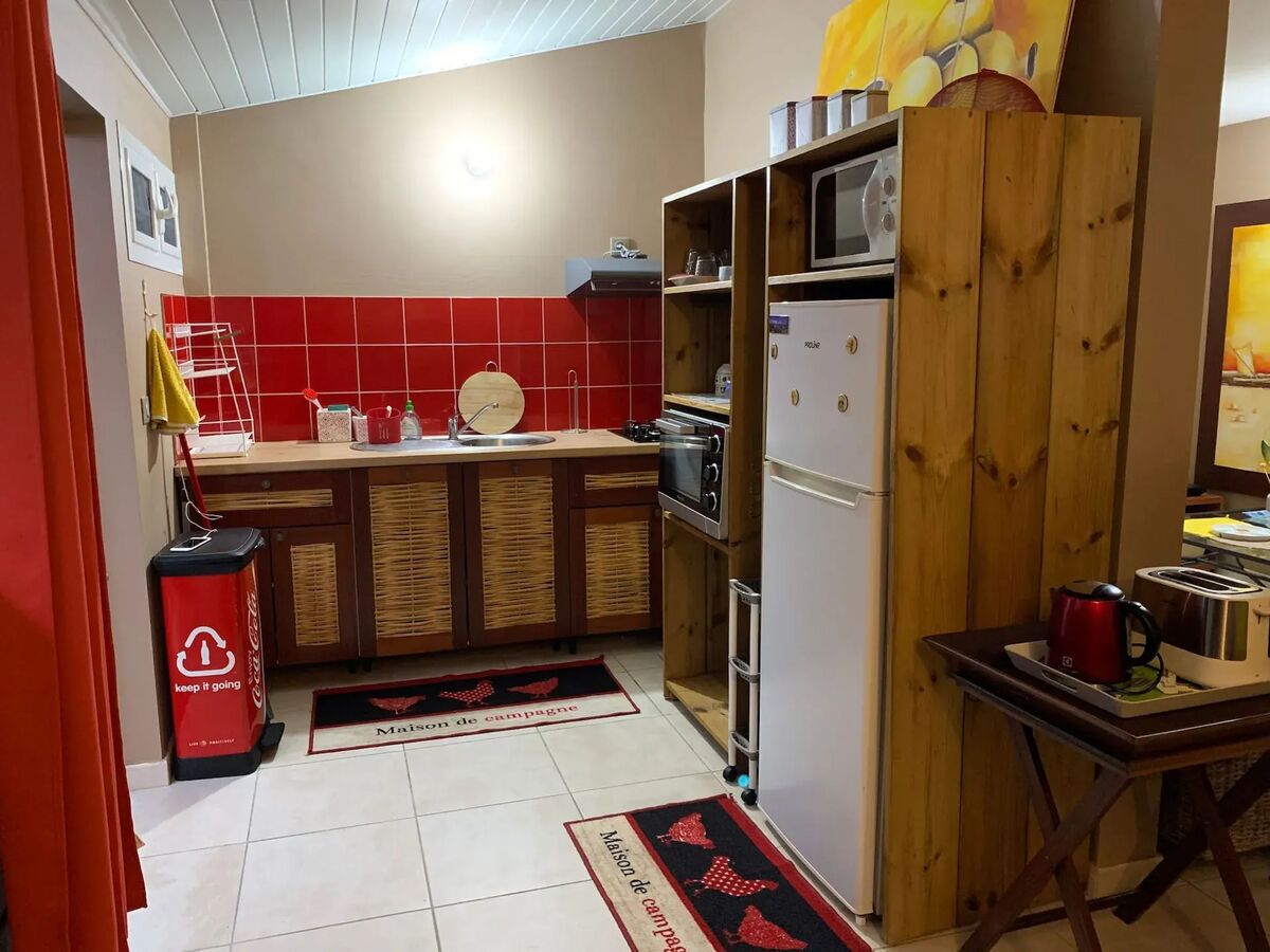 Studio 80 m² climatisé avec terrasse et jardin à Saint-Esprit - Photo 6