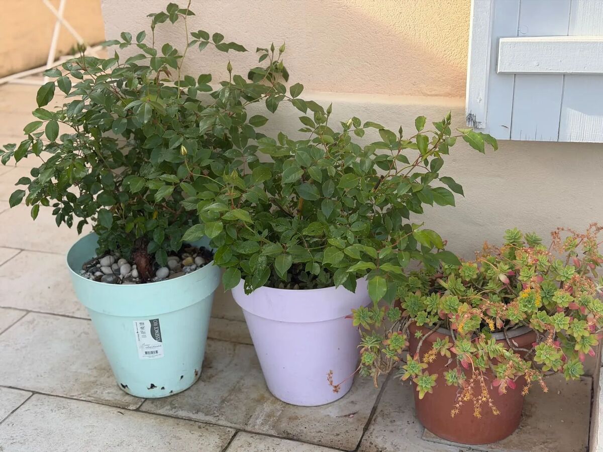 Villa 14 pers. Villeneuve-Loubet, jardin clos & parking - Photo 83
