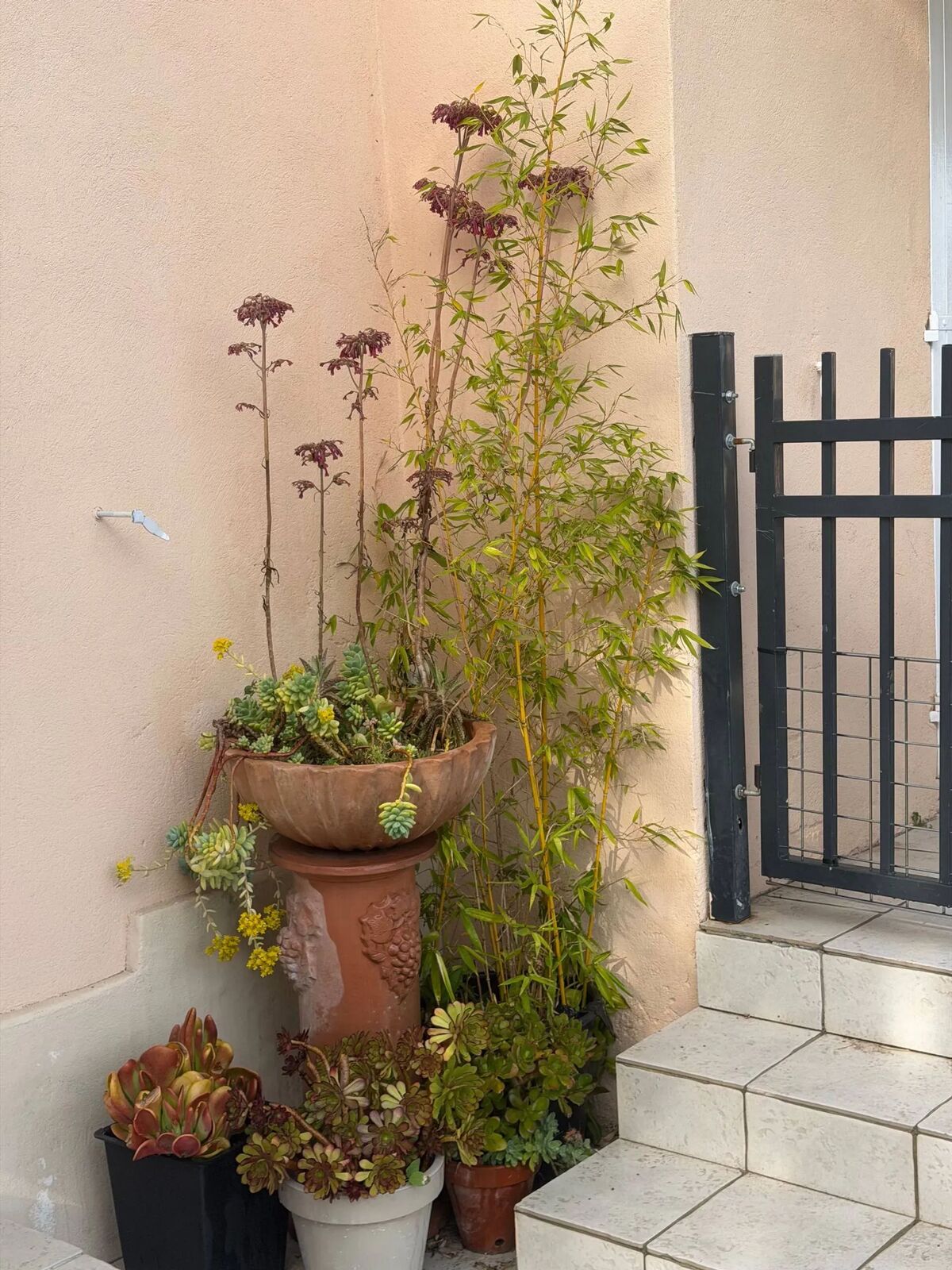 Villa 14 pers. Villeneuve-Loubet, jardin clos & parking - Photo 84