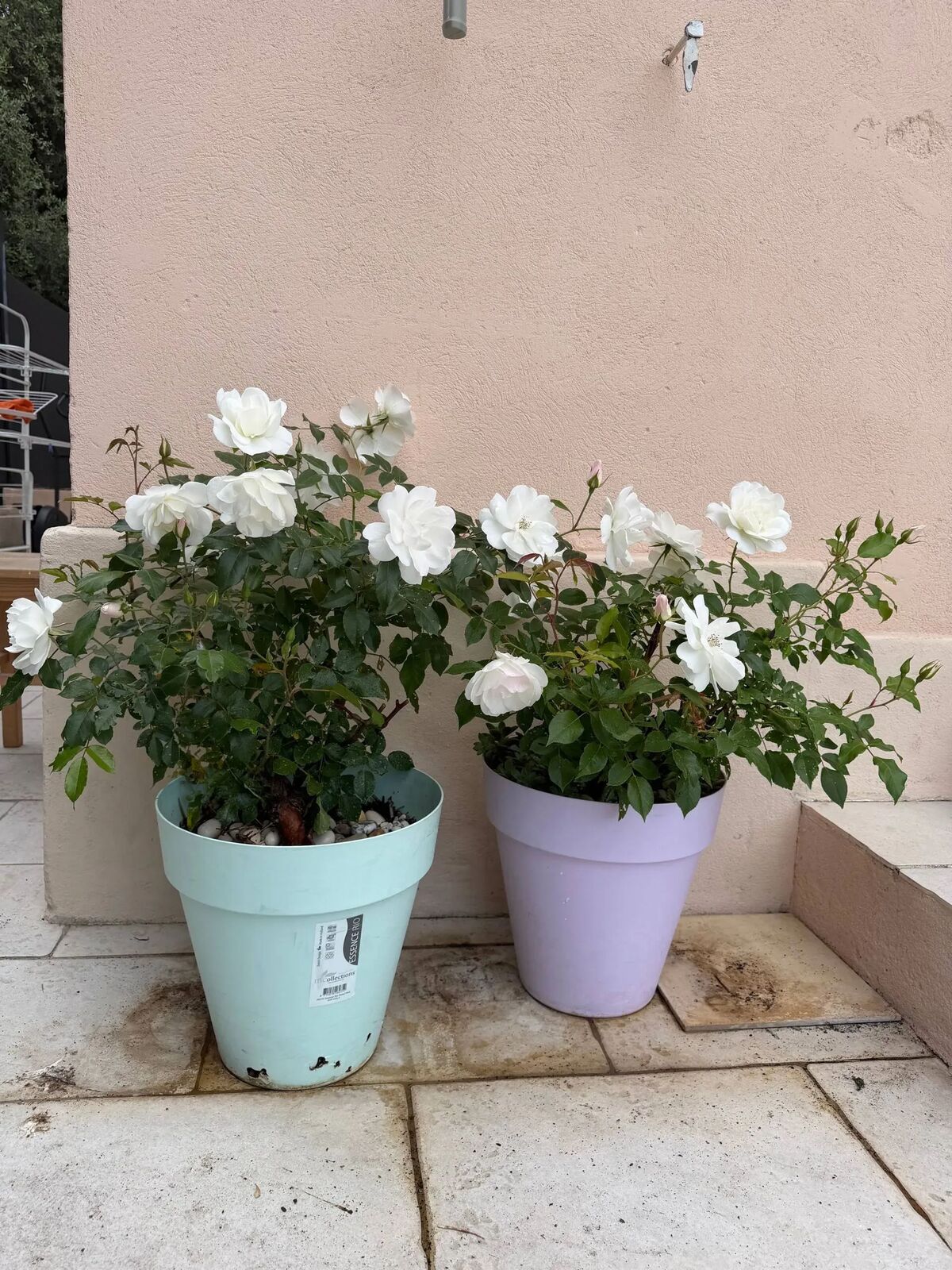 Villa 14 pers. Villeneuve-Loubet, jardin clos & parking - Photo 86