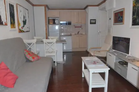 Appartement 35 m² avec terrasse et parking à Besse-et-Saint-Anastaise : photo 2