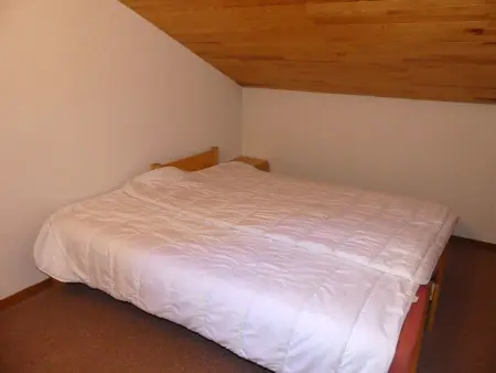Duplex 3 pièces avec balcon sud, pistes à 100 m à Pralognan : photo 8
