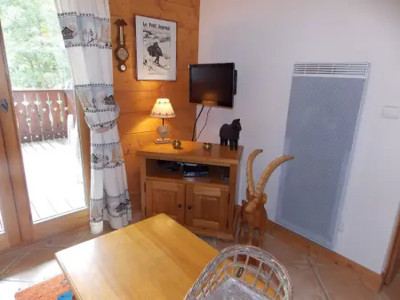 Appartement 3 pièces, 4 pers., pistes à 100 m à Pralognan-la-Vanoise : photo 3