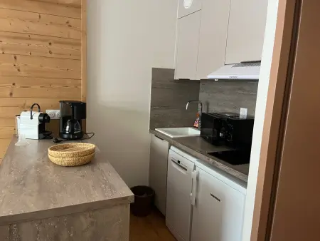 Studio 4 pers. avec terrasse sud-est, pistes à 100 m à Pralognan : photo 2