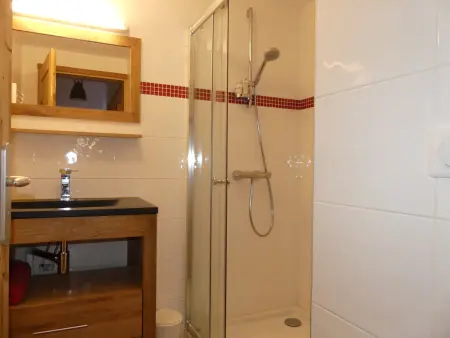 Appartement 3 pièces avec terrasse à Pralognan-la-Vanoise : photo 9