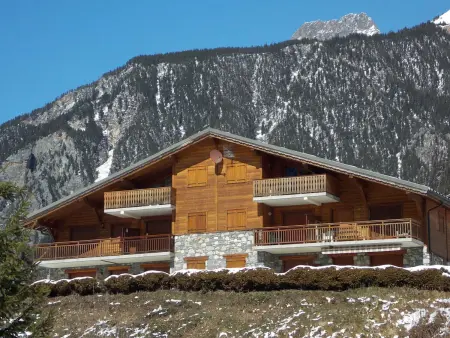 Appartement 3 pièces avec terrasse sud-ouest à Pralognan-la-Vanoise : photo 11