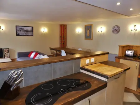 Appartement de charme avec terrasse plein ouest à Pralognan-la-Vanoise : photo 8