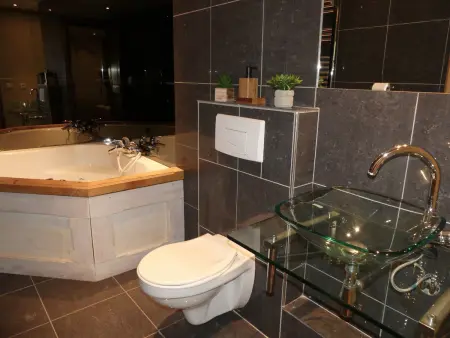 Appartement de charme avec terrasse plein ouest à Pralognan-la-Vanoise : photo 12