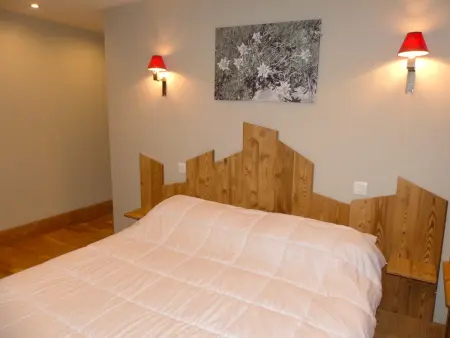 Appartement de charme avec terrasse plein ouest à Pralognan-la-Vanoise : photo 14