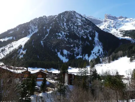 Appartement 2 pièces 39 m² avec balcon sud à Pralognan-la-Vanoise : photo 13