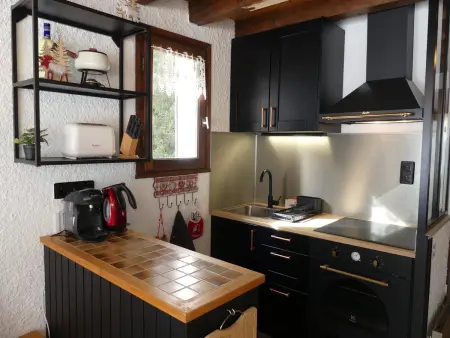 Duplex proche domaine nordique - 6 pers., Appartement 6 personnes à Pralognan la Vanoise : photo 2
