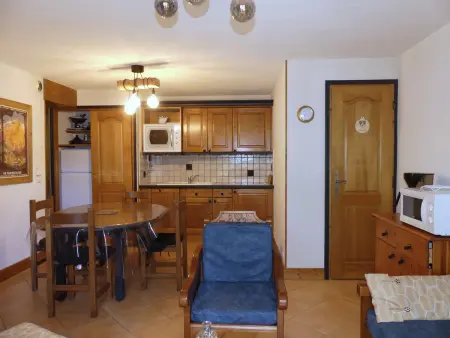 Appartement 3 pièces avec balcon sud-ouest à Pralognan-la-Vanoise : photo 5