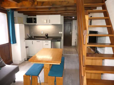 Studio mezzanine pieds des pistes à Pralognan-la-Vanoise, vue montagne : photo 5