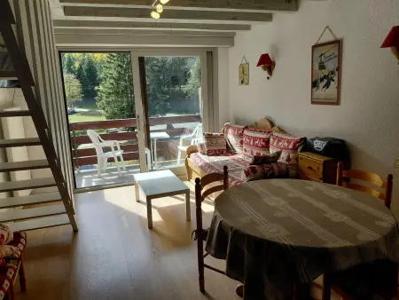 Duplex 3 pièces au pied des pistes à Pralognan-la-Vanoise : photo 12