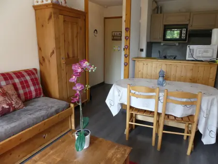 Appartement ensoleillé - 4 pers., Appartement 4 personnes à Pralognan la Vanoise : photo 4