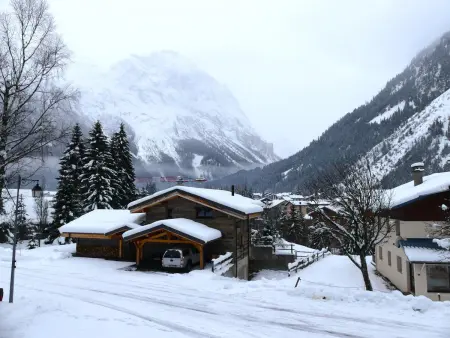Studio cosy, animaux OK - 4 pers., Appartement 4 personnes à Pralognan la Vanoise : photo 11