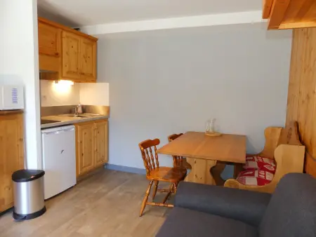 Studio cabine au centre, animaux OK - 4 pers., Appartement 4 personnes à Pralognan la Vanoise : photo 2