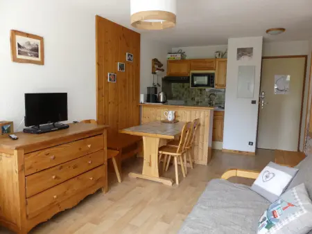 Appartement 2 pièces 32 m² avec balcon sud à Pralognan-la-Vanoise : photo 3