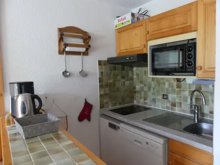 Appartement 2 pièces 32 m² avec balcon sud à Pralognan-la-Vanoise : photo 6