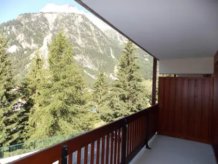 Appartement 2 pièces 32 m² avec balcon sud à Pralognan-la-Vanoise : photo 10