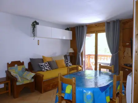 Appartement montagnard 3 pièces à Pralognan, pistes à 101 m : photo 2