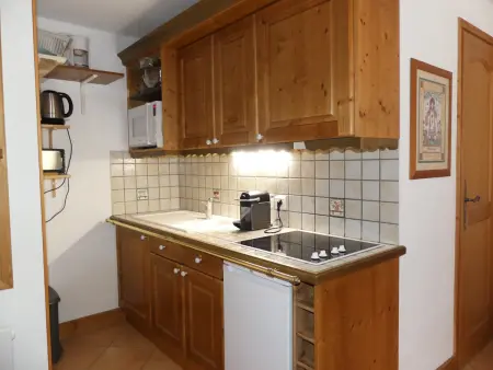 Appartement montagnard 3 pièces à Pralognan, pistes à 101 m : photo 5