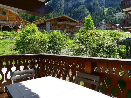 Appartement montagnard 3 pièces à Pralognan, pistes à 101 m : photo 9