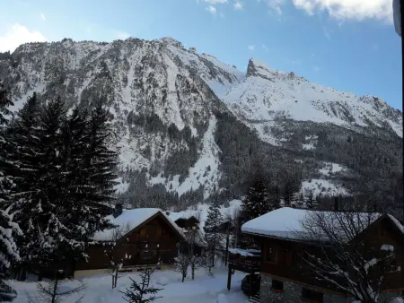 Appartement 3 pièces 64 m² avec balcon sud à Pralognan-la-Vanoise : photo 13